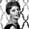Novakid Career - Sophia Loren once said: “Mistakes are part of the