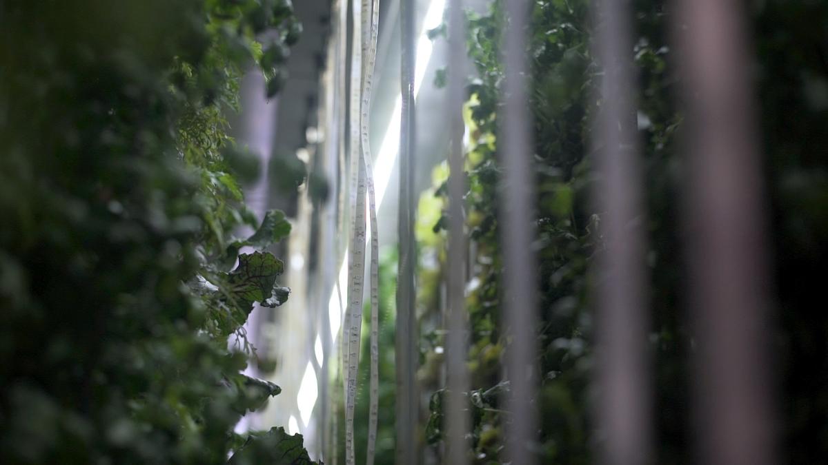 Freight Farms Brings Vertical Farming To The Masses