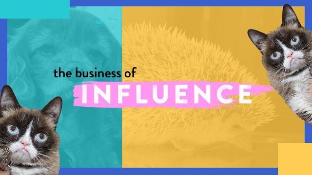 Can Pets Be Influencers? - The Business of Influence, Ep. 13