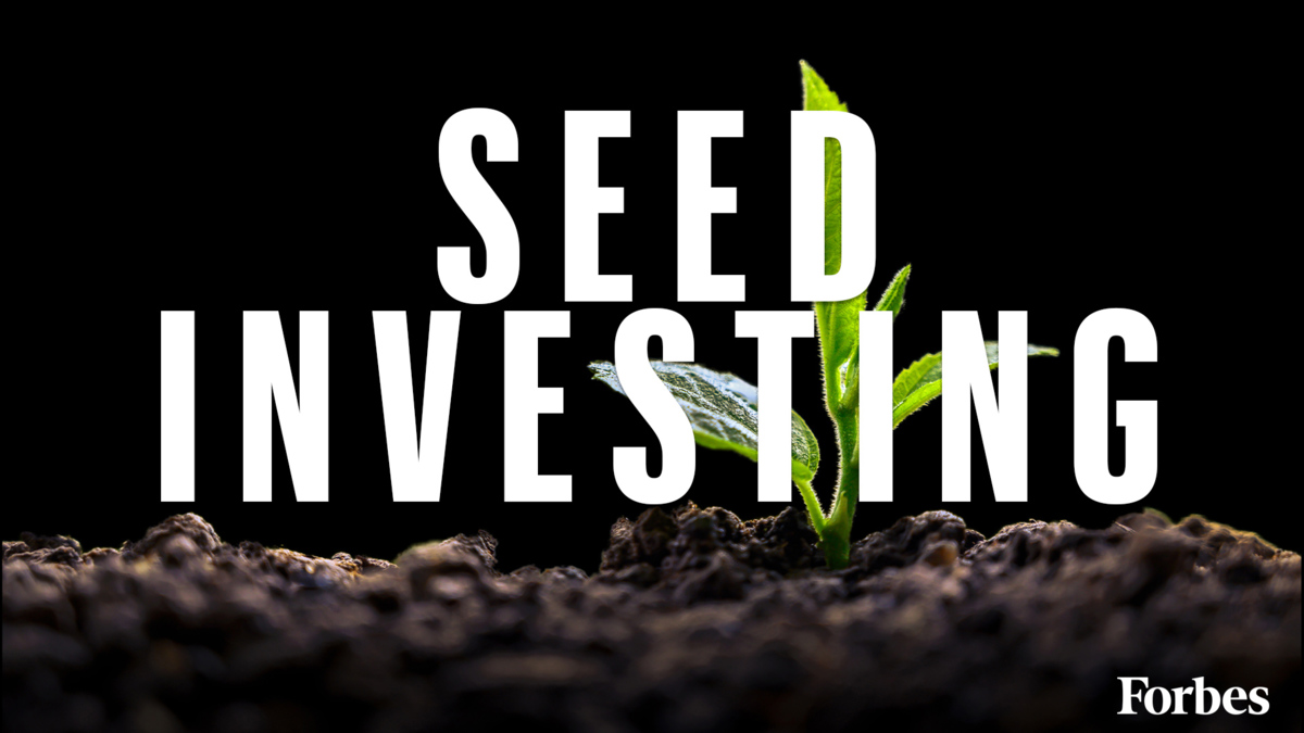 What Is Seed Investing And Why Is It Crucial For Growing Companies?
